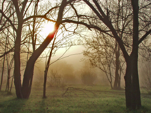 40381 (a): :1600x1200